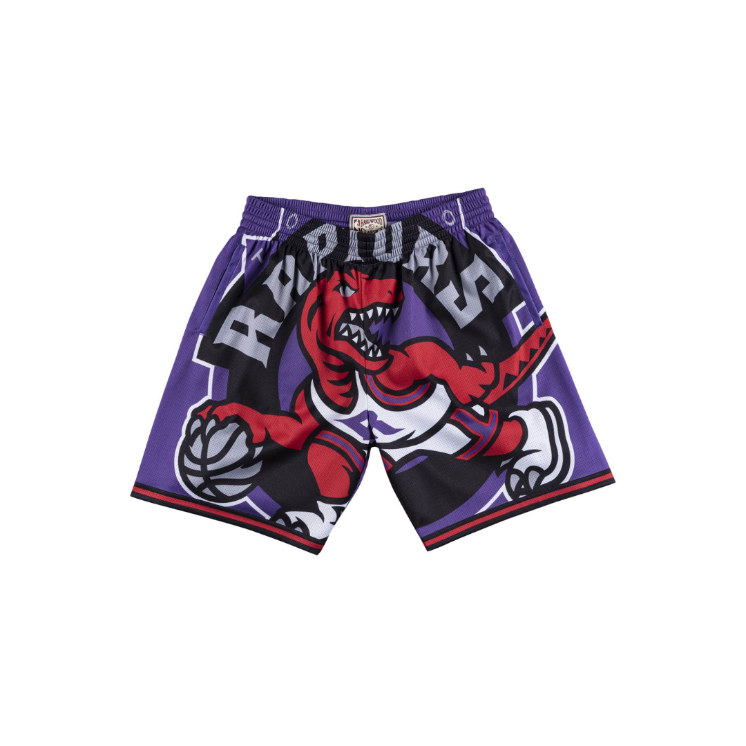 Toronto raptors shorts on sale purple